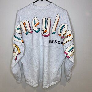 Disneyland Resort 2024 Disney Colorblock Gray Spirit Jersey Colored Banner Sz L